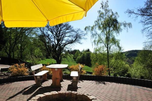Wohnung In Hohegeiss Mit Grill Und Garten Braunlage Luaran gambar